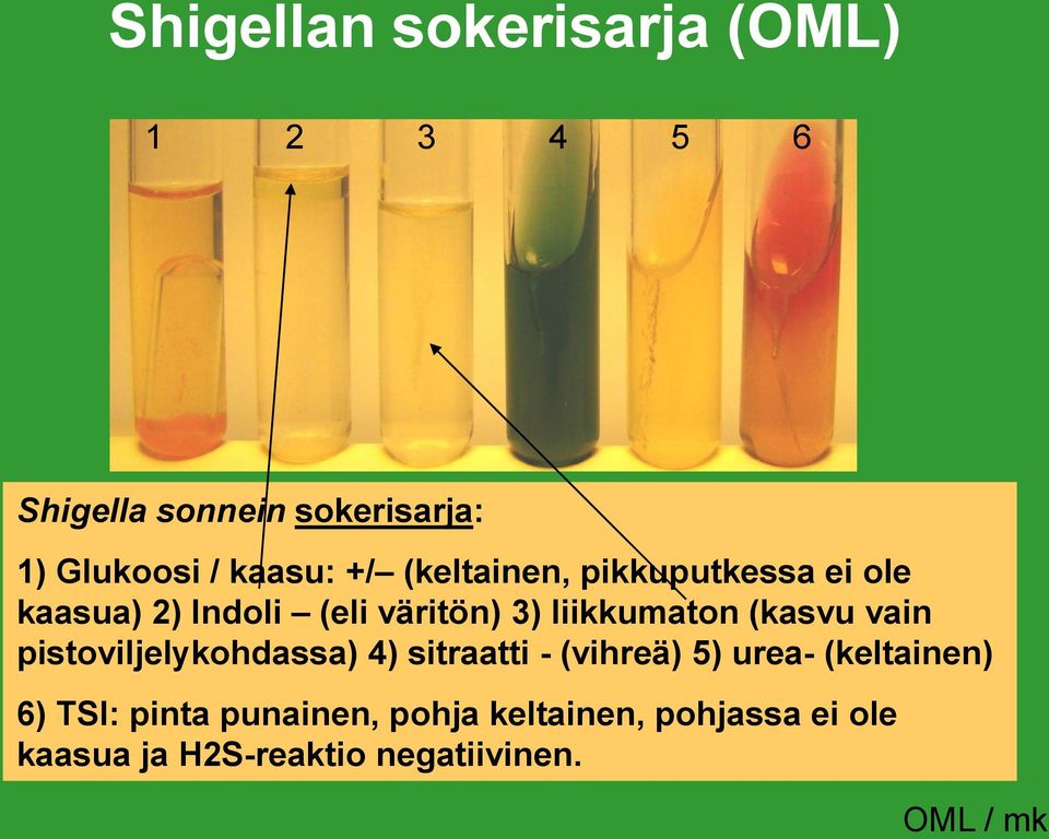 liikkumaton (kasvu vain pistoviljelykohdassa) 4) sitraatti - (vihreä) 5) urea-