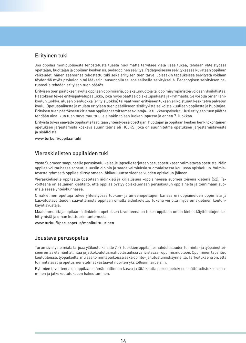 Joissakin tapauksissa selvitystä voidaan täydentää myös psykologin tai lääkärin lausunnolla tai sosiaalisella selvityksellä. Pedagogisen selvityksen perusteella tehdään erityisen tuen päätös.