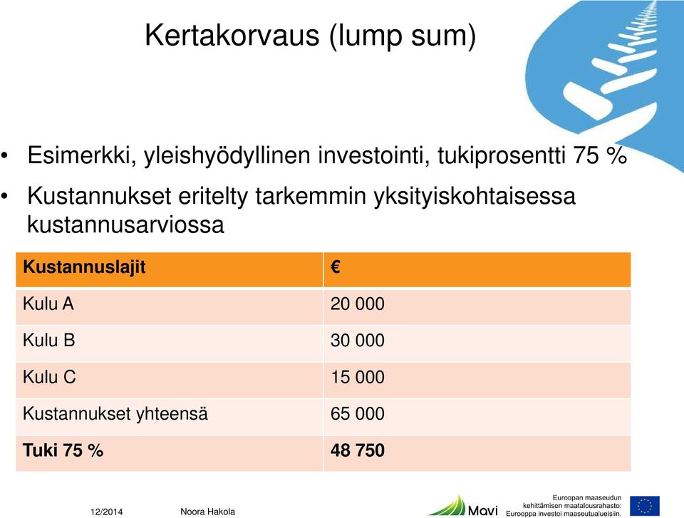 yksityiskohtaisessa kustannusarviossa Kustannuslajit Kulu A 20 000