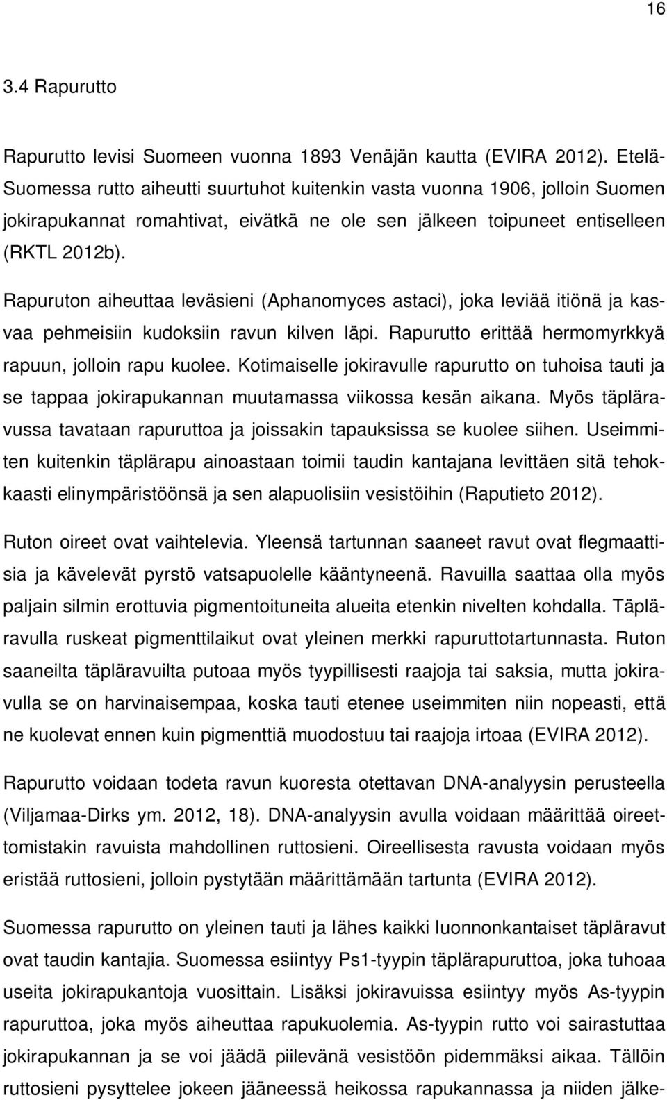 Rapuruton aiheuttaa leväsieni (Aphanomyces astaci), joka leviää itiönä ja kasvaa pehmeisiin kudoksiin ravun kilven läpi. Rapurutto erittää hermomyrkkyä rapuun, jolloin rapu kuolee.