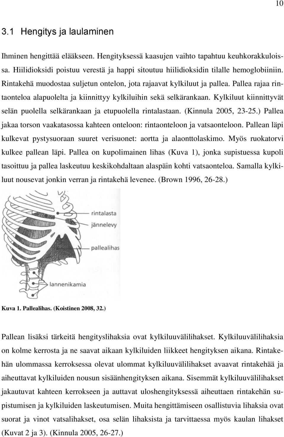 Pallea rajaa rintaonteloa alapuolelta ja kiinnittyy kylkiluihin sekä selkärankaan. Kylkiluut kiinnittyvät selän puolella selkärankaan ja etupuolella rintalastaan. (Kinnula 2005, 23-25.