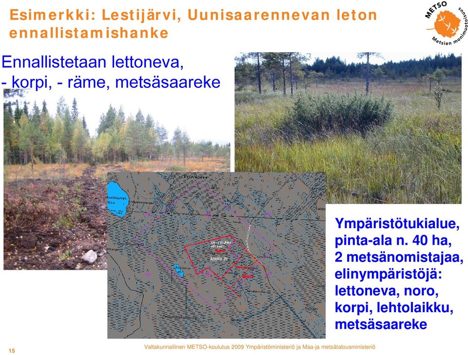 metsäsaareke Ympäristötukialue, pinta-ala n.