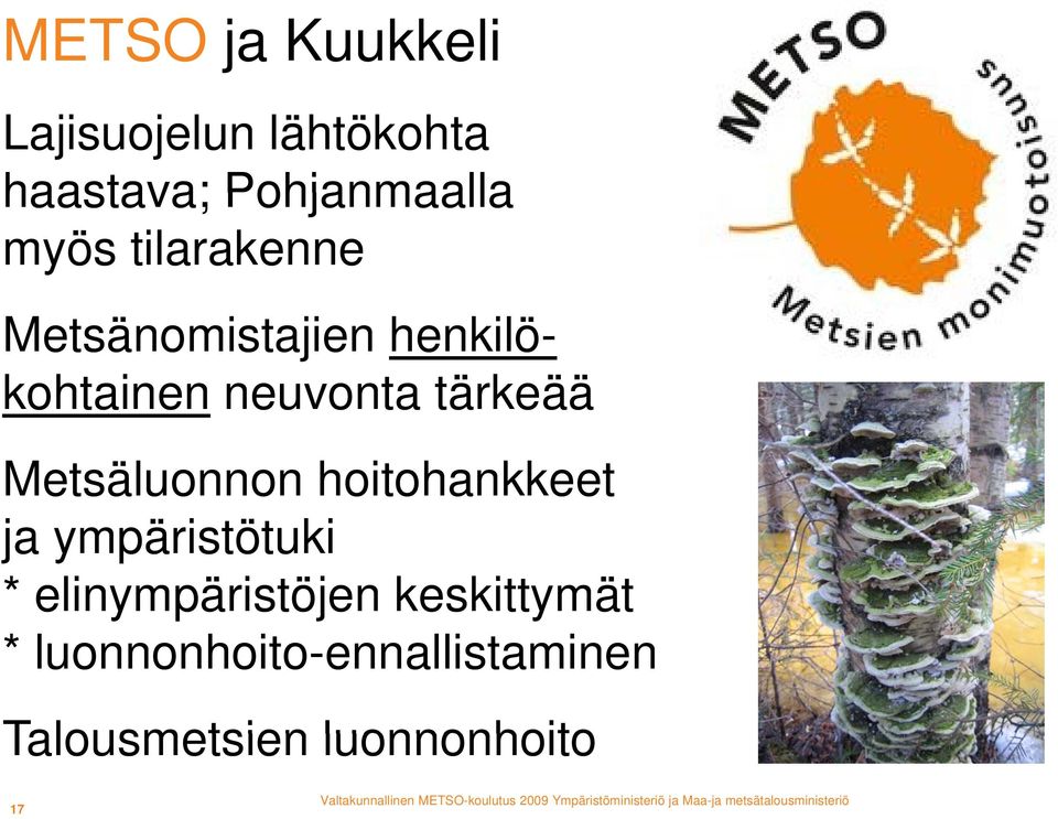 tärkeää Metsäluonnon hoitohankkeet ja ympäristötuki *