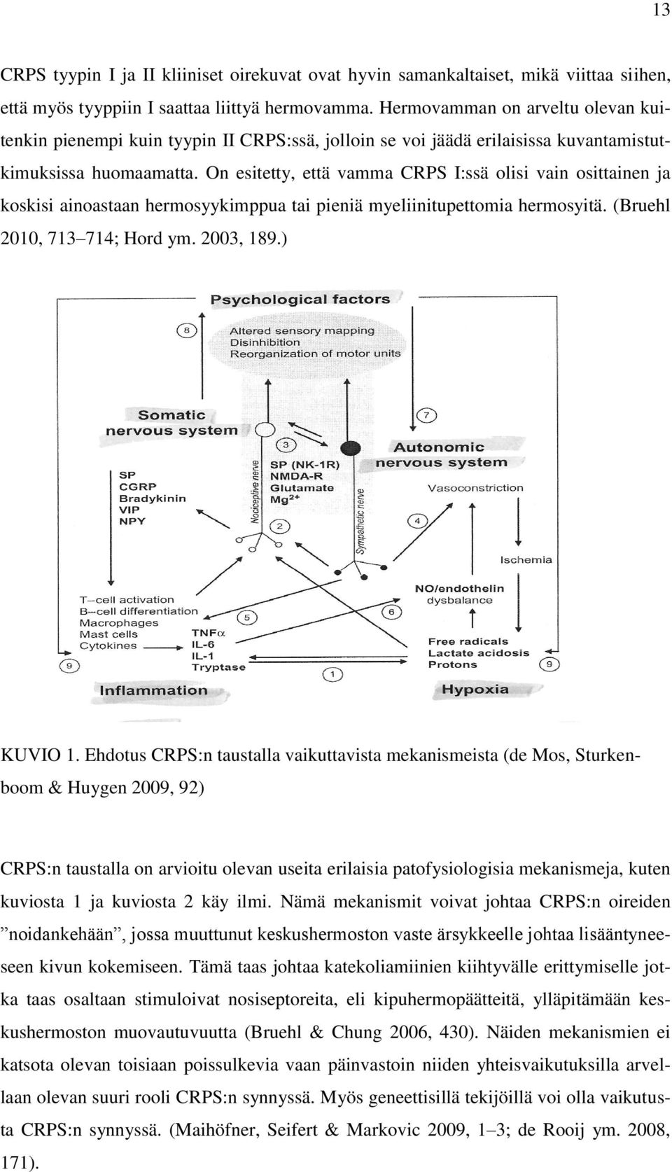 On esitetty, että vamma CRPS I:ssä olisi vain osittainen ja koskisi ainoastaan hermosyykimppua tai pieniä myeliinitupettomia hermosyitä. (Bruehl 2010, 713 714; Hord ym. 2003, 189.) KUVIO 1.