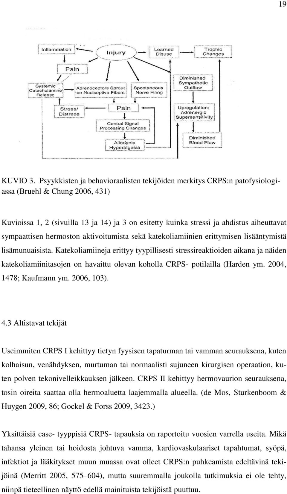 sympaattisen hermoston aktivoitumista sekä katekoliamiinien erittymisen lisääntymistä lisämunuaisista.