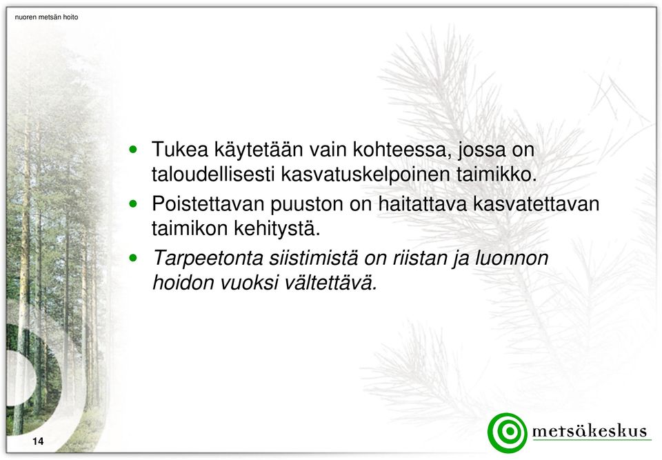 Poistettavan puuston on haitattava kasvatettavan taimikon