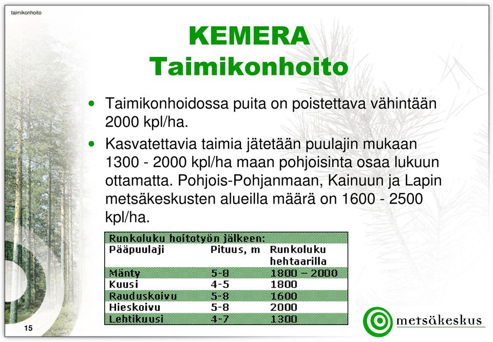 Kasvatettavia taimia jätetään puulajin mukaan 1300-2000 kpl/ha maan