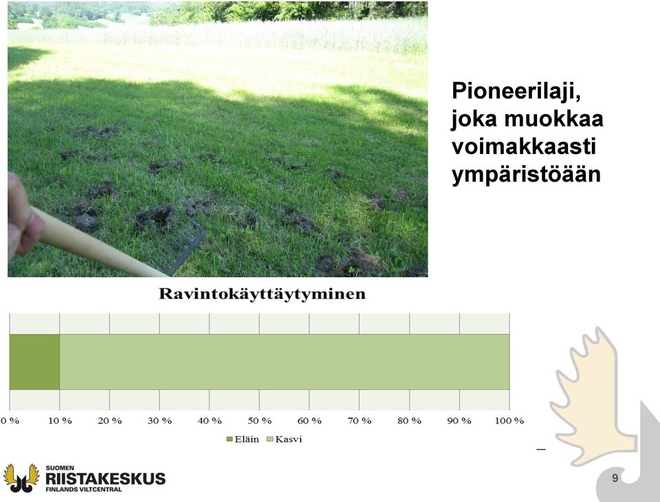 voimakkaasti