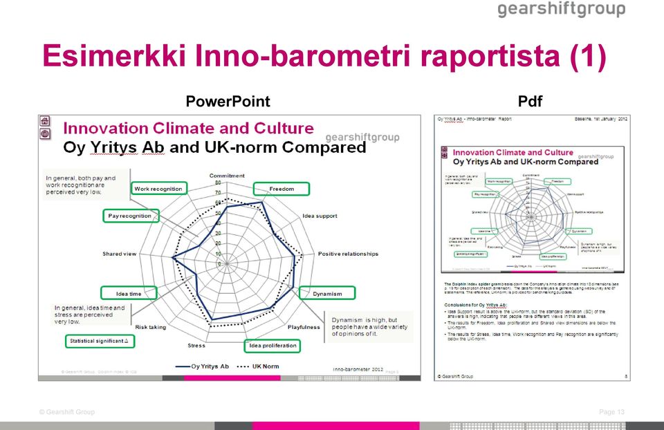 raportista (1)