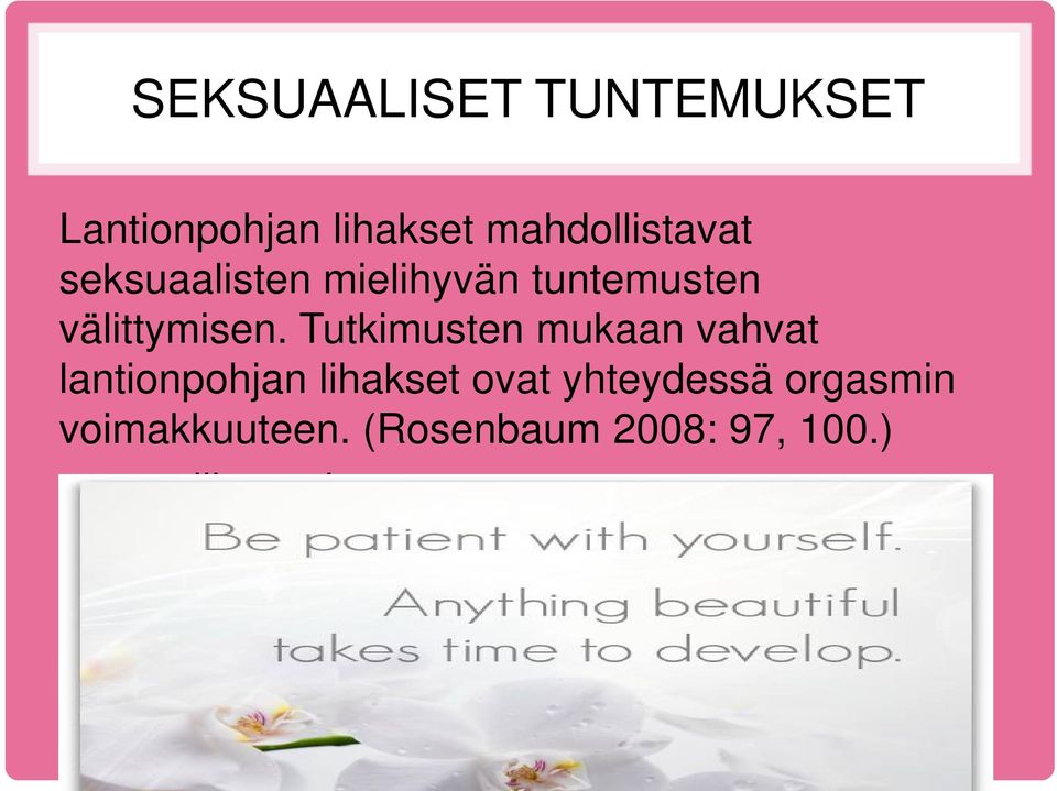 Tutkimusten mukaan vahvat lantionpohjan lihakset ovat