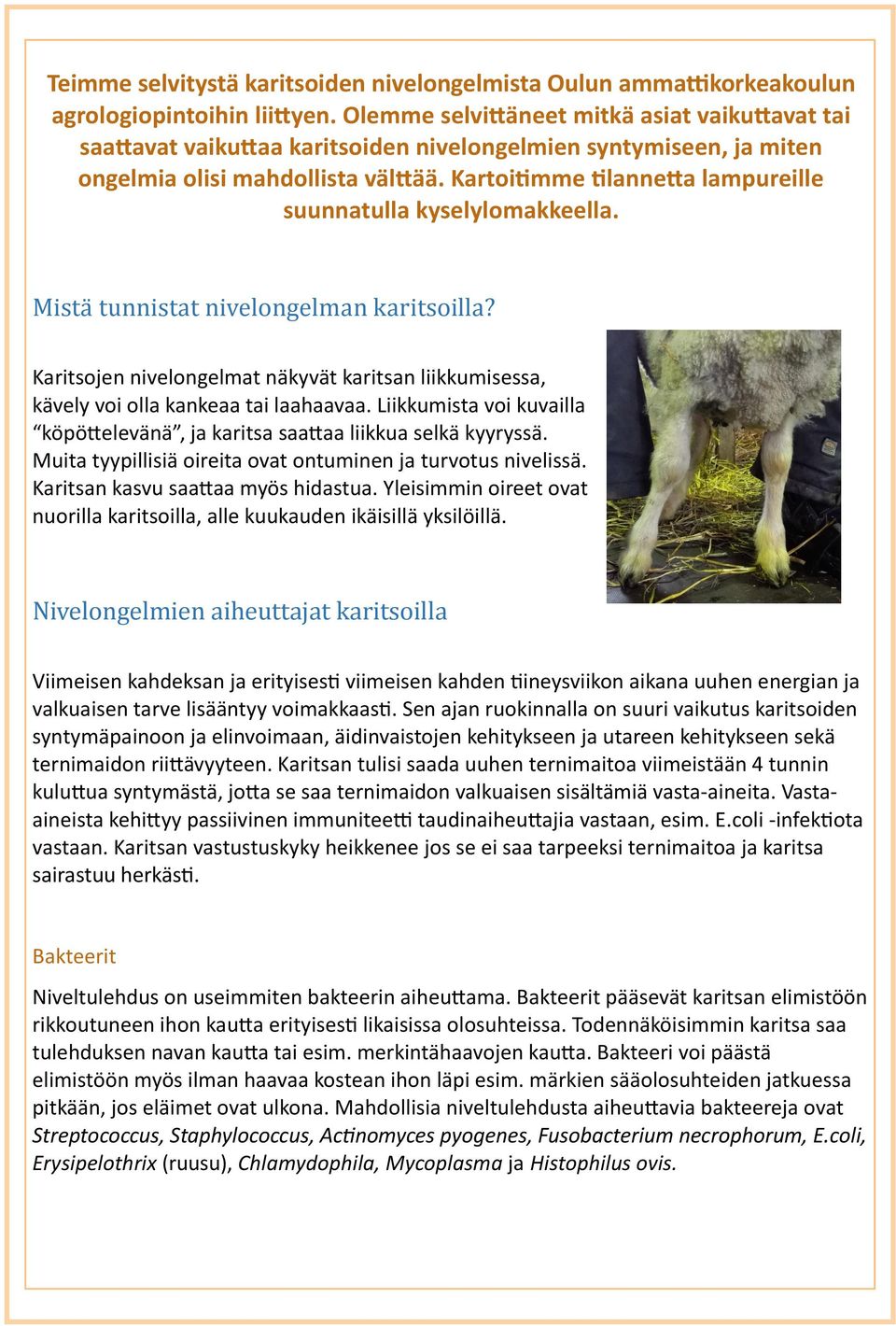 Kartoitimme tilannetta lampureille suunnatulla kyselylomakkeella. Mistä tunnistät nivelongelmän käritsoillä?