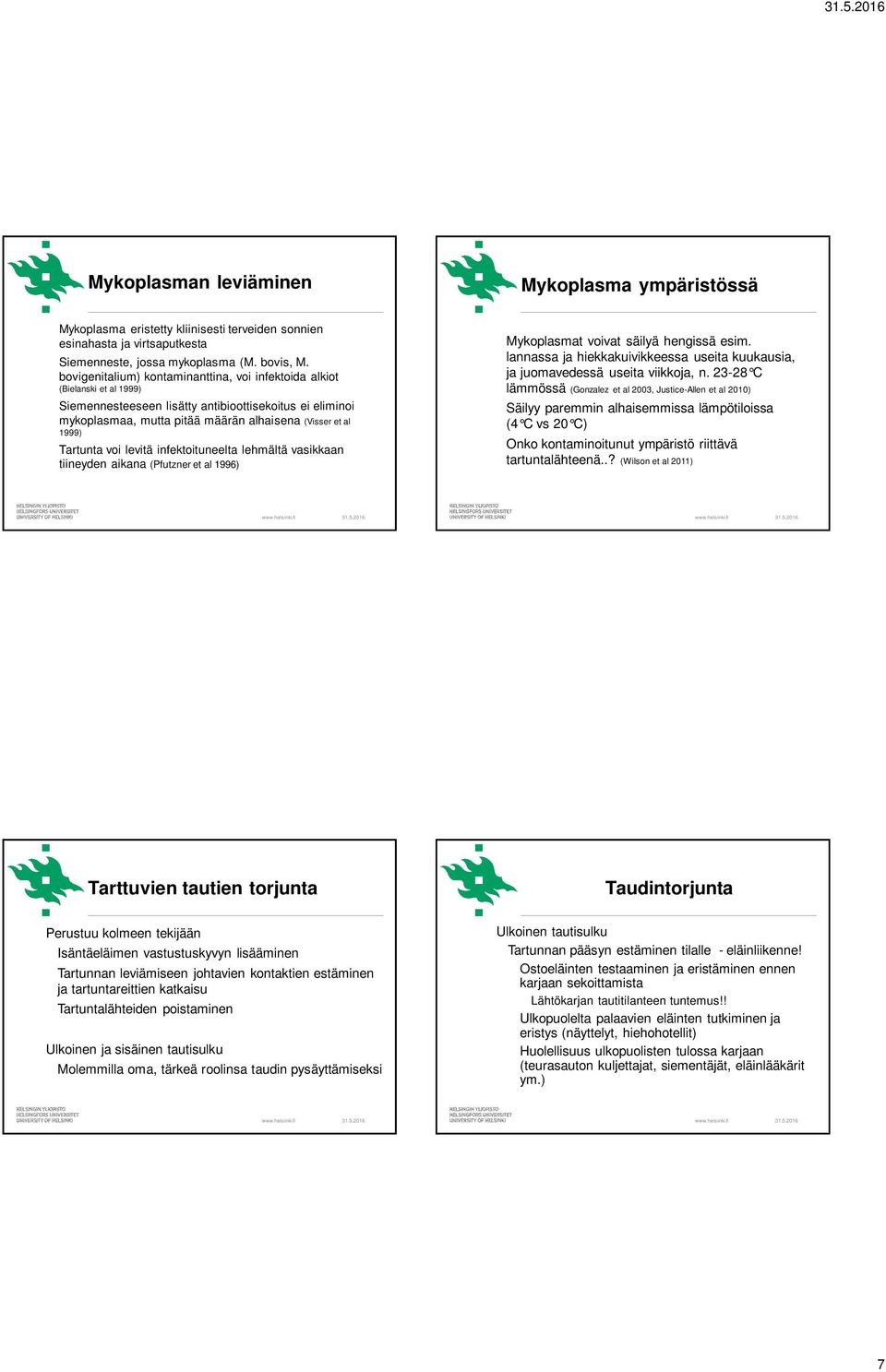 Tartunta voi levitä infektoituneelta lehmältä vasikkaan tiineyden aikana (Pfutzner et al 1996) Mykoplasmat voivat säilyä hengissä esim.