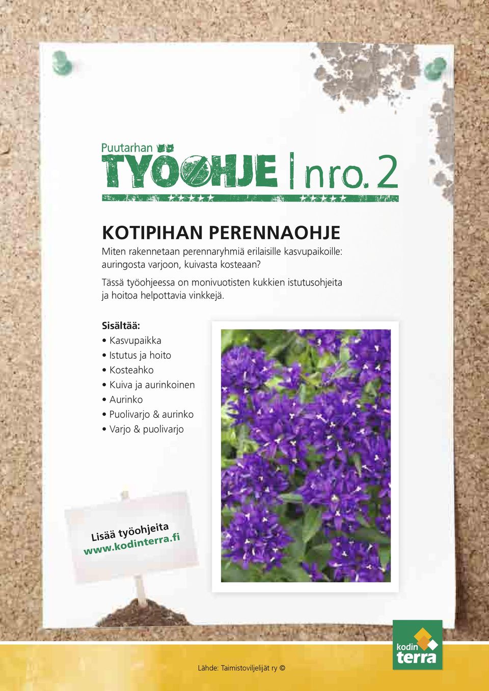 Tässä työohjeessa on monivuotisten kukkien istutusohjeita ja hoitoa helpottavia vinkkejä.