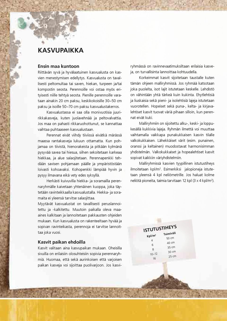 Kasvualustassa ei saa olla monivuotisia juuririkkakasveja, kuten juolavehnää ja peltovalvattia. Jos maa on pahasti rikkaruohottunut, se kannattaa vaihtaa puhtaaseen kasvualustaan.