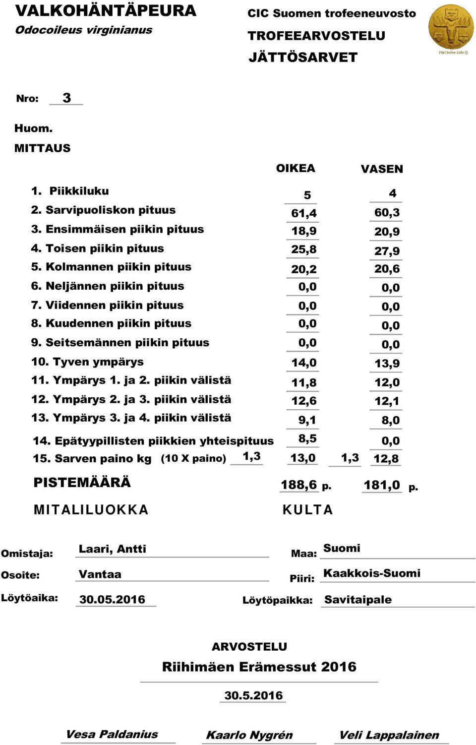 Seitsemännen piikin pituus 0,0 0,0 10. Tyven ympärys 14,0 13,9 11. Ympärys 1. ja 2. piikin välistä 11,8 12,0 12. Ympärys 2. ja 3. piikin välistä 12,6 12,1 13. Ympärys 3. ja 4.