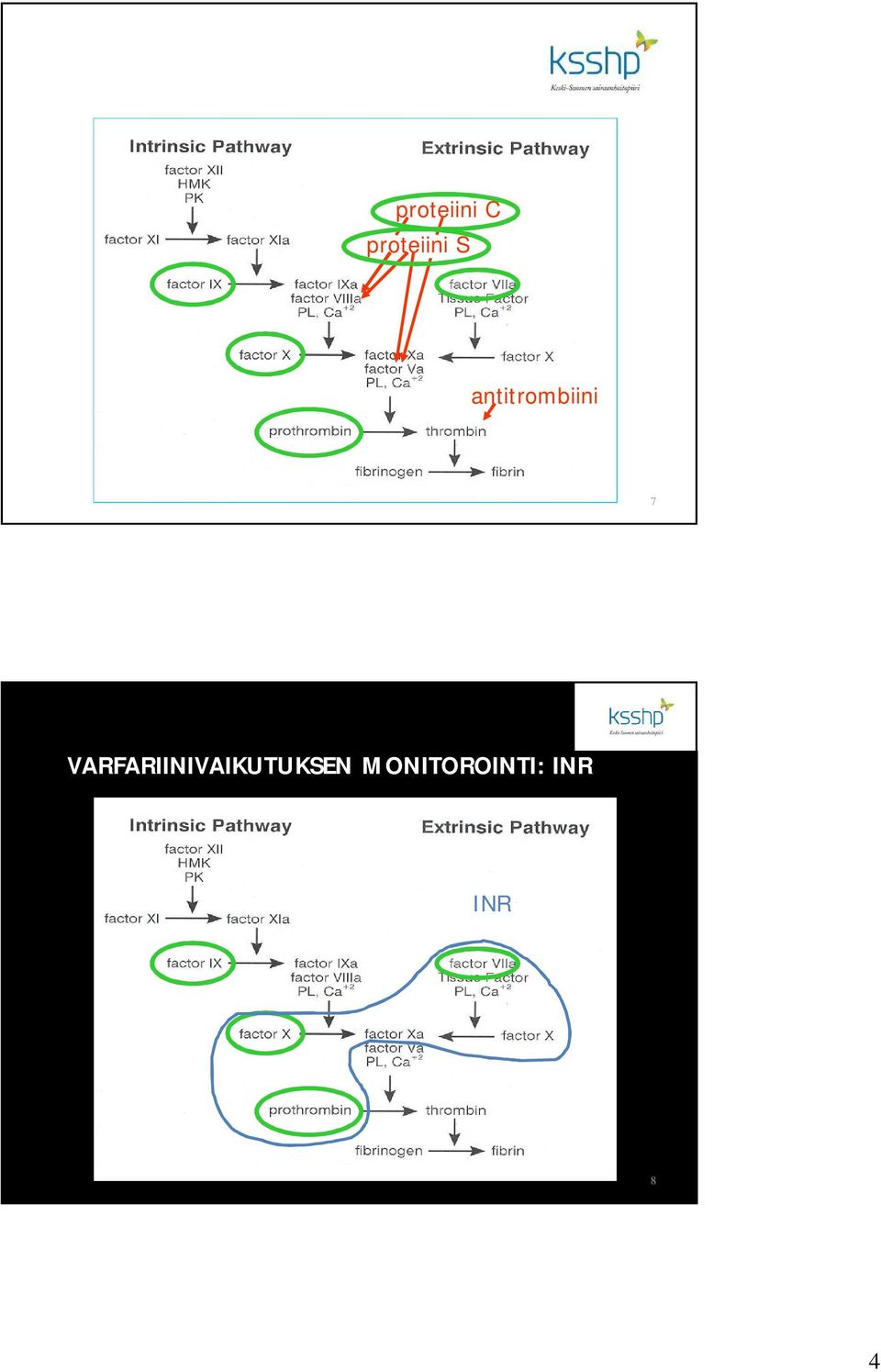 proteiini C proteiini S antitrombiini 7