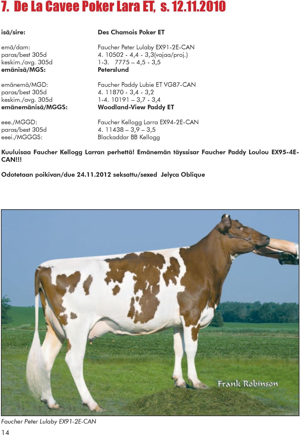 10191 3,7-3,4 emänemänisä/mggs: Woodland-View Paddy ET eee./mggd: Faucher Kellogg Larra EX94-2E-CAN paras/best 305d 4.