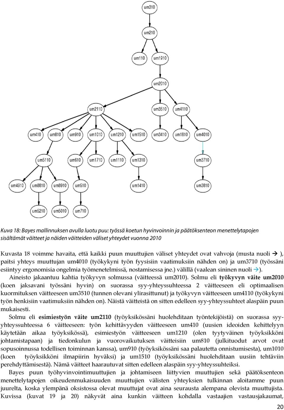 ergonomisia ongelmia työmenetelmissä, nostamisessa jne.) välillä (vaalean sininen nuoli ). Aineisto jakaantuu kahtia työkyvyn solmussa (väitteessä um2010).