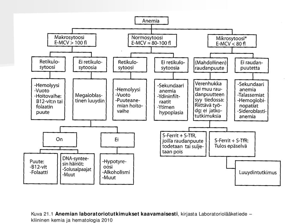 laboratoriotutkimukset