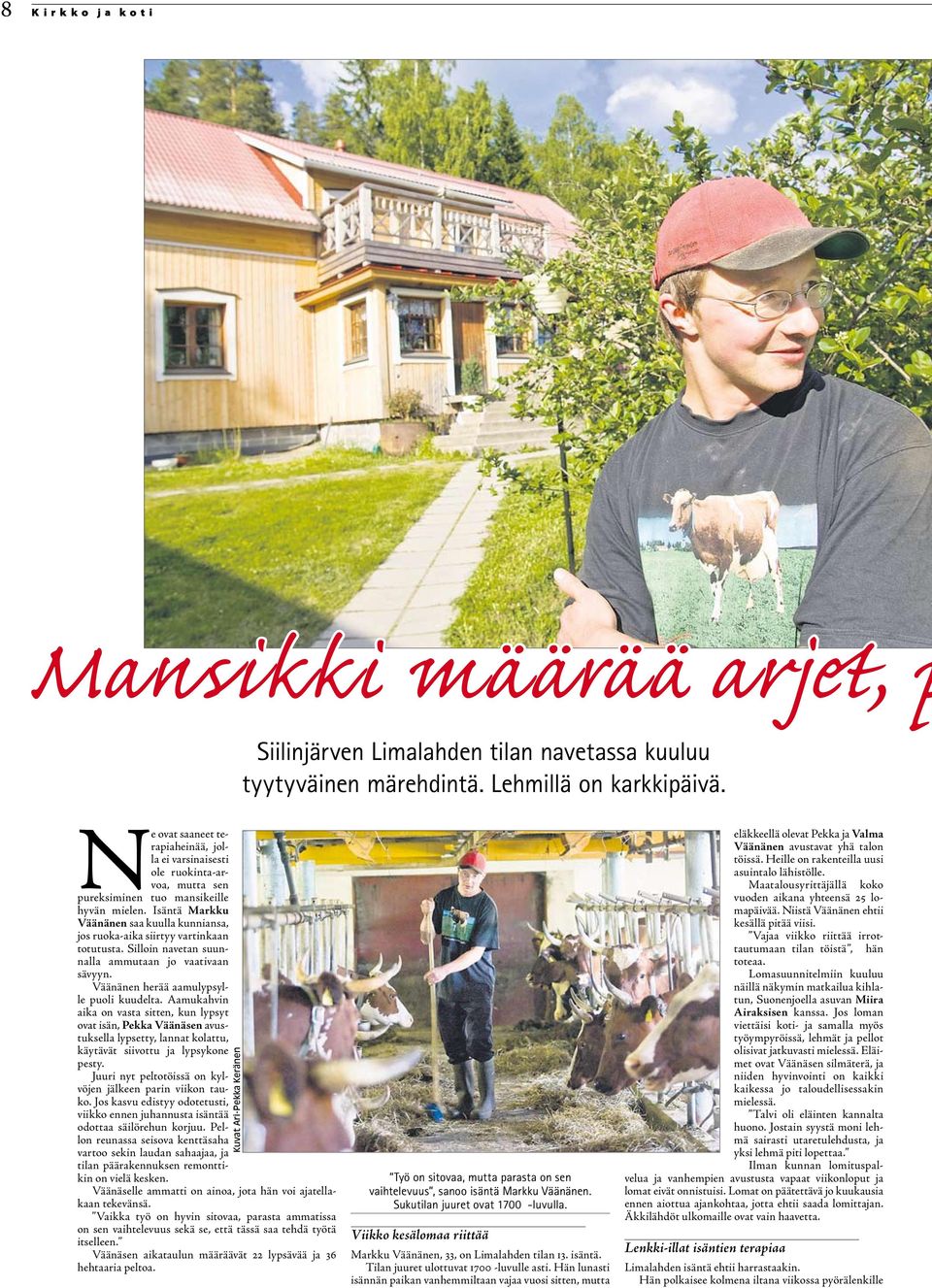 Isäntä Markku Väänänen saa kuulla kunniansa, jos ruoka-aika siirtyy vartinkaan totutusta. Silloin navetan suunnalla ammutaan jo vaativaan sävyyn. Väänänen herää aamulypsylle puoli kuudelta.