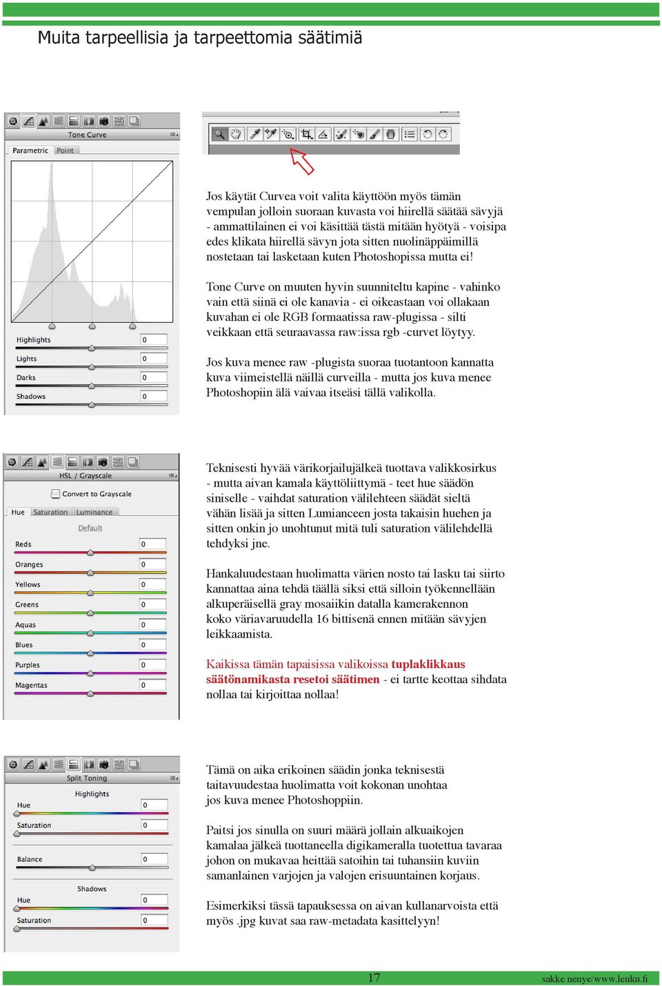 Tone Curve on muuten hyvin suunniteltu kapine - vahinko vain että siinä ei ole kanavia - ei oikeastaan voi ollakaan kuvahan ei ole RGB formaatissa raw-plugissa - silti veikkaan että seuraavassa