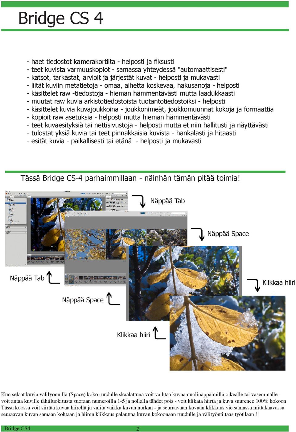 tuotantotiedostoiksi - helposti - käsittelet kuvia kuvajoukkoina - joukkonimeät, joukkomuunnat kokoja ja formaattia - kopioit raw asetuksia - helposti mutta hieman hämmentävästi - teet kuvaesityksiä