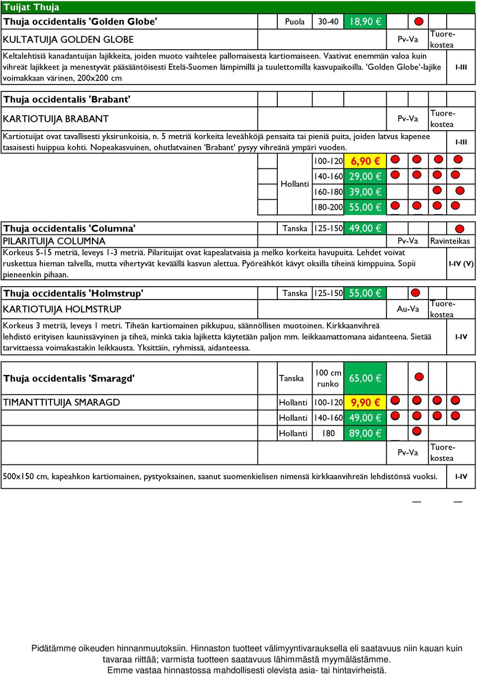 'Golden Globe'-lajike voimakkaan värinen, 200x200 cm 100-120 6,90 140-160 29,00 160-180 39,00 180-200 55,00 Thuja occidentali 'Columna' Tanka 125-150 49,00 PILARITUIJA COLUMNA Korkeu 5-15 metriä,