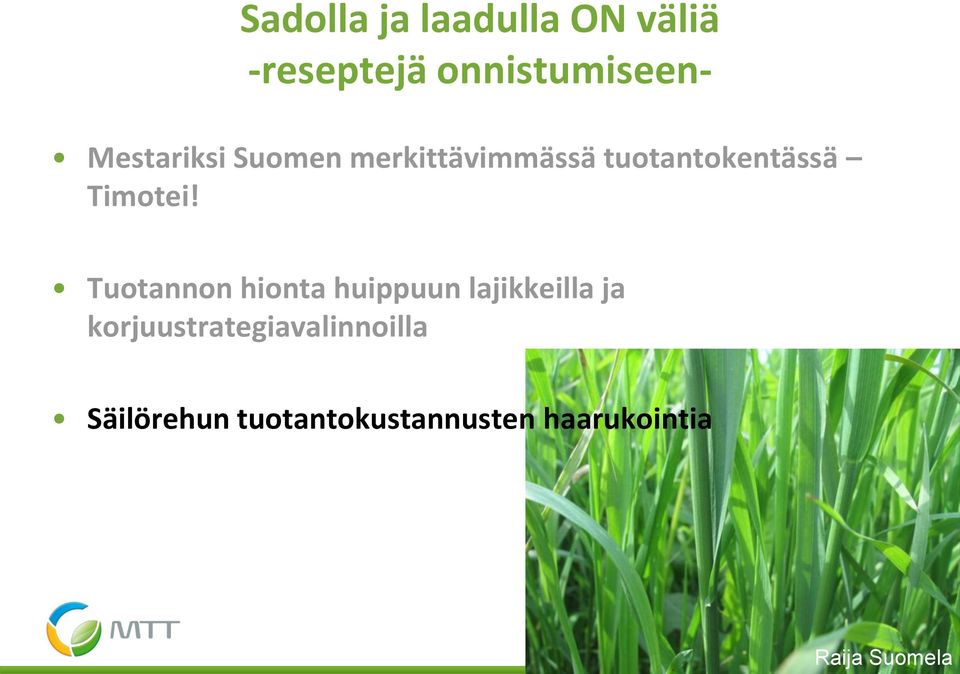 Tuotannon hionta huippuun lajikkeilla ja