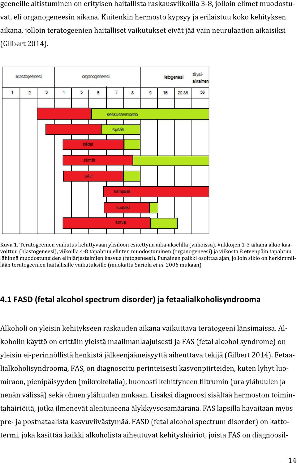 Teratogeenien vaikutus kehittyvään yksilöön esitettynä aika-akselilla (viikoissa).