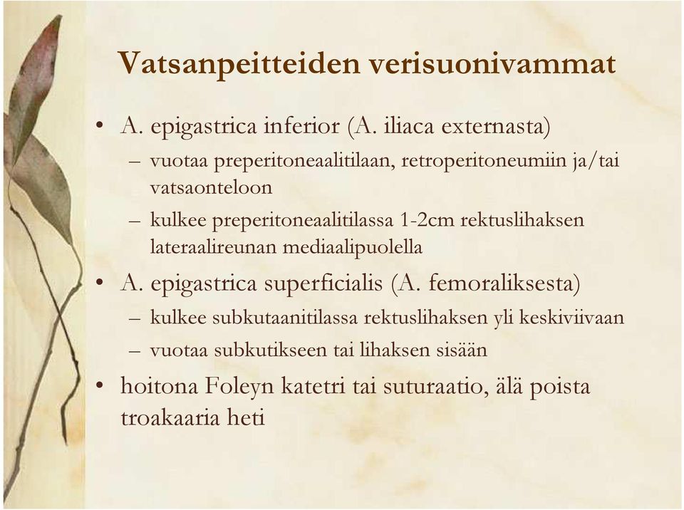 preperitoneaalitilassa 1-2cm rektuslihaksen lateraalireunan mediaalipuolella A. epigastrica superficialis (A.