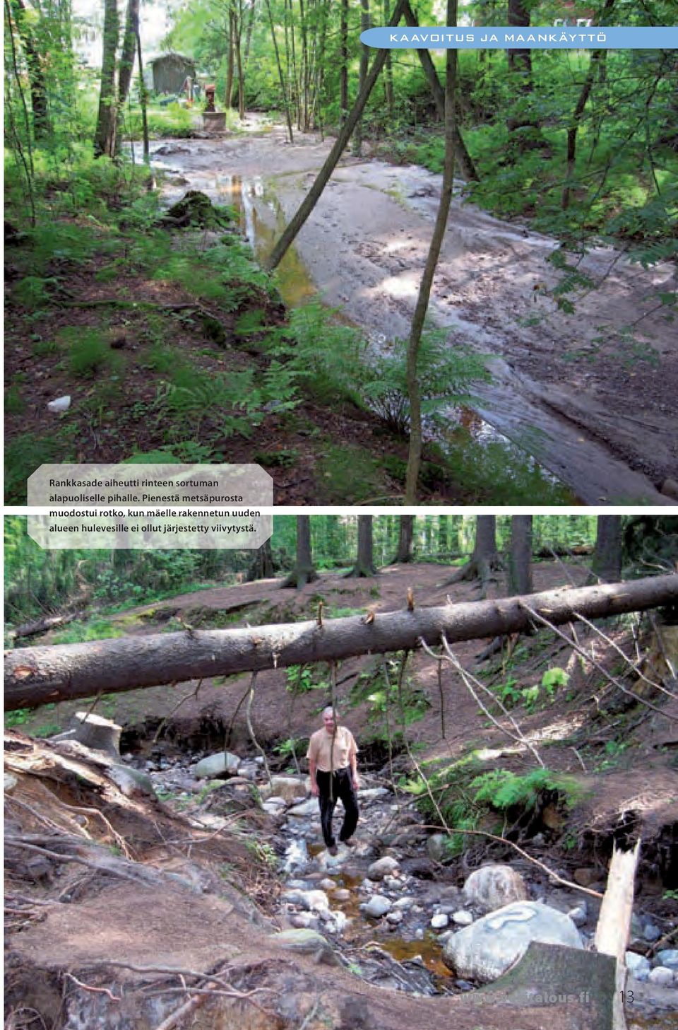 Pienestä metsäpurosta muodostui rotko, kun mäelle