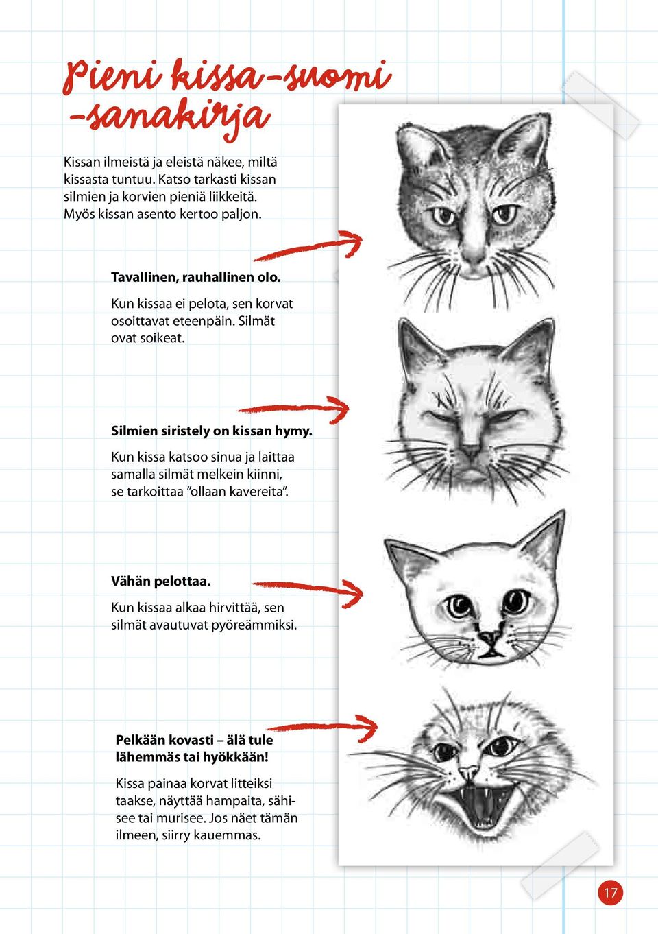 Kun kissa katsoo sinua ja laittaa samalla silmät melkein kiinni, se tarkoittaa ollaan kavereita. Vähän pelottaa.