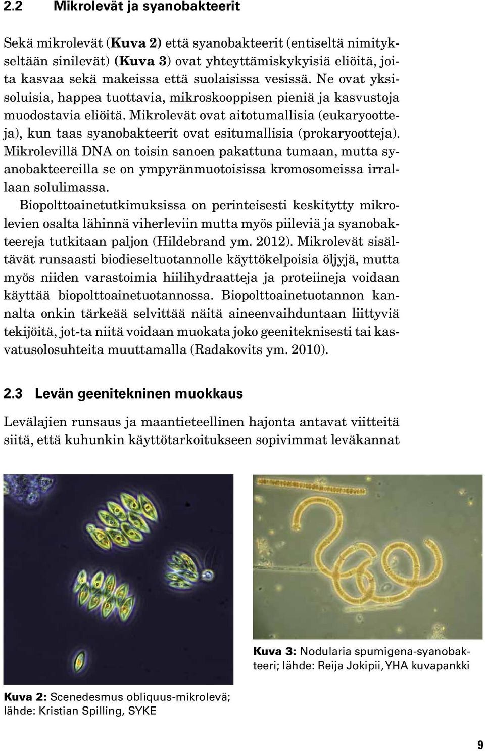 Mikrolevät ovat aitotumallisia (eukaryootteja), kun taas syanobakteerit ovat esitumallisia (prokaryootteja).