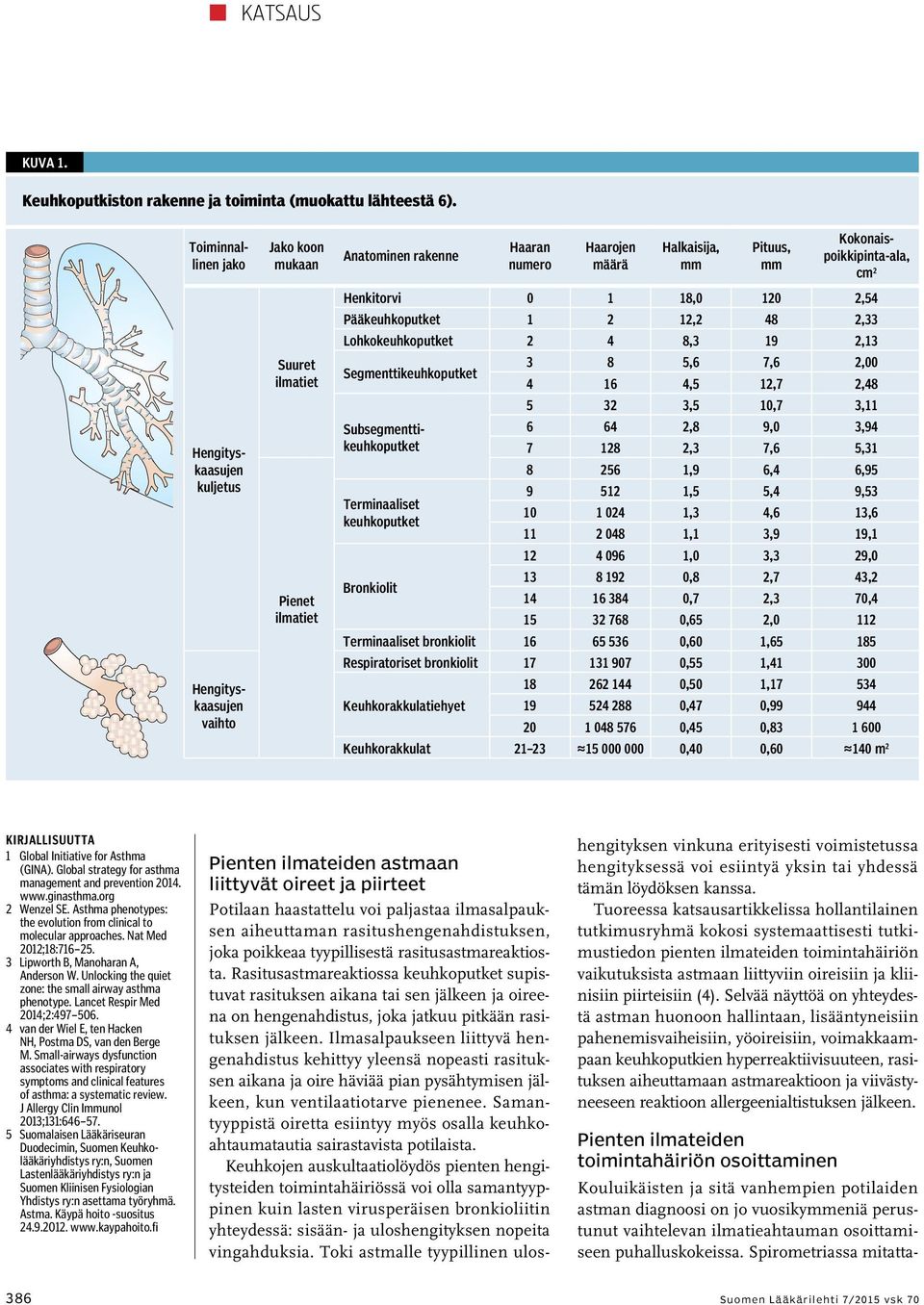 5 32 3,5 10,7 3,11 Subsegmenttikeuhkoputket 6 64 2,8 9,0 3,94 7 128 2,3 7,6 5,31 8 256 1,9 6,4 6,95 Hengityskaasujen vaihto Jako koon mukaan Suuret ilmatiet Pienet ilmatiet Anatominen rakenne Haaran