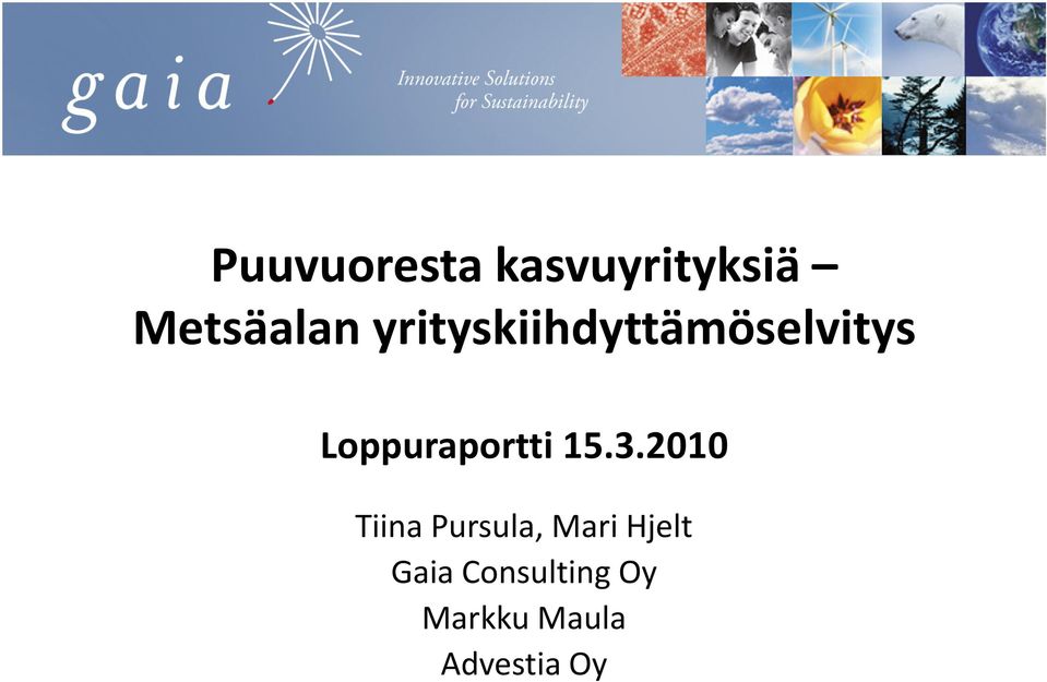 Loppuraportti 15.3.