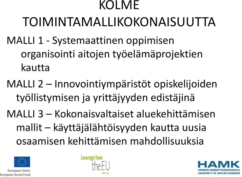 työllistymisen ja yrittäjyyden edistäjinä MALLI 3 Kokonaisvaltaiset