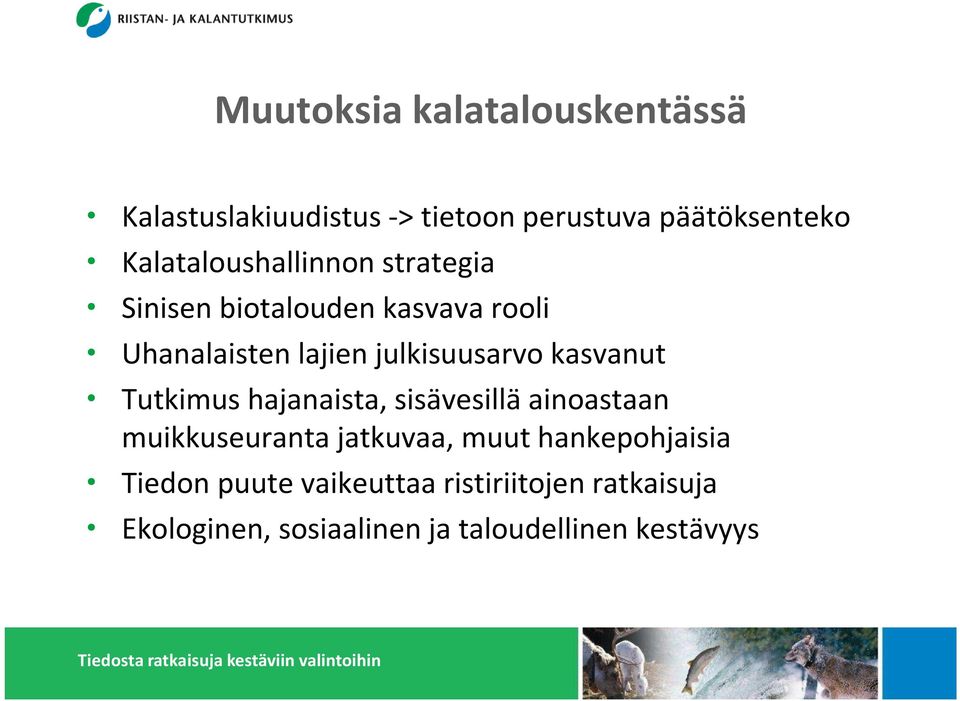 julkisuusarvo kasvanut Tutkimus hajanaista, sisävesillä ainoastaan muikkuseuranta jatkuvaa,