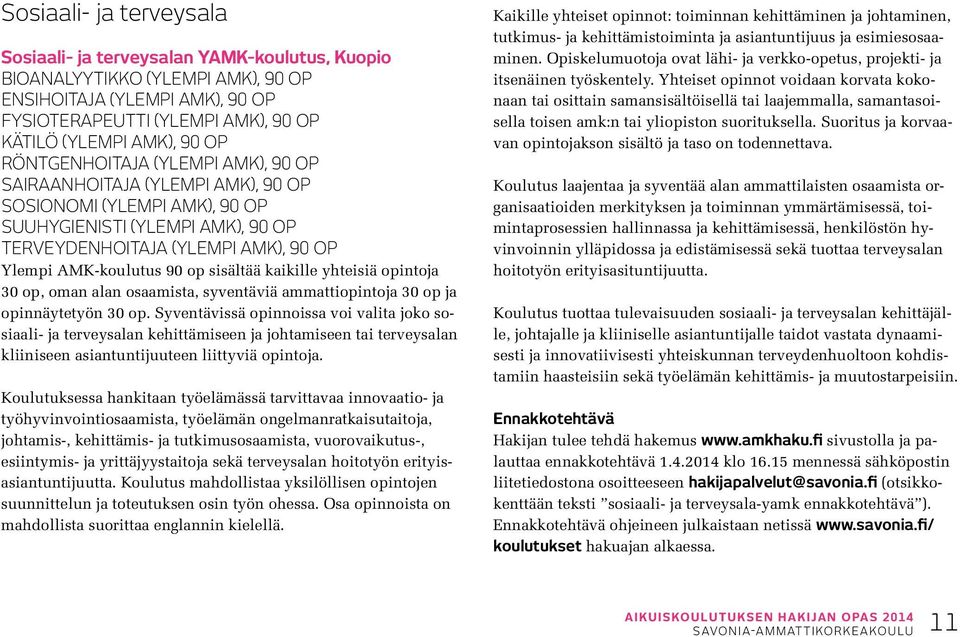 sisältää kaikille yhteisiä opintoja 30 op, oman alan osaamista, syventäviä ammattiopintoja 30 op ja opinnäytetyön 30 op.