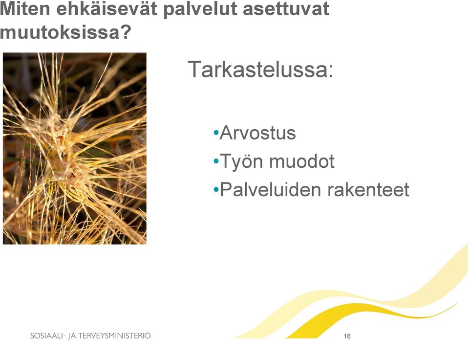 Tarkastelussa: Arvostus