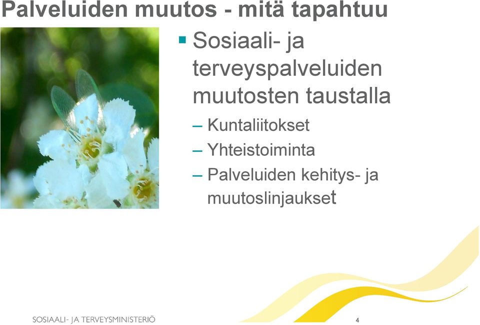 muutosten taustalla Kuntaliitokset