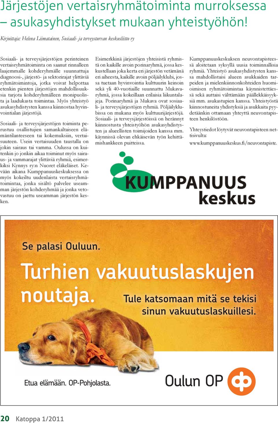 diagnoosi-, järjestö- ja sektorirajat ylittäviä ryhmätoimintoja, jotka voivat helpottaa etenkin pienten järjestöjen mahdollisuuksia tarjota kohderyhmälleen monipuolista ja laadukasta toimintaa.