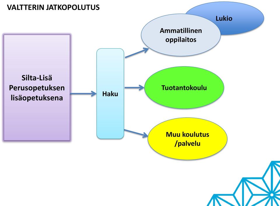 Silta-Lisä Perusopetuksen