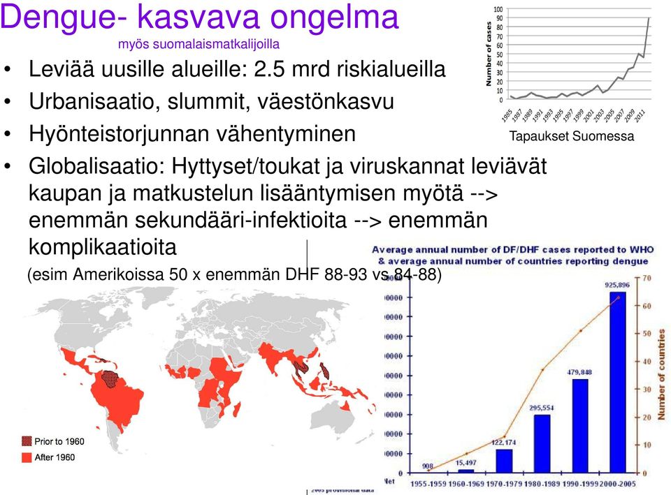 Globalisaatio: Hyttyset/toukat ja viruskannat leviävät kaupan ja matkustelun lisääntymisen myötä