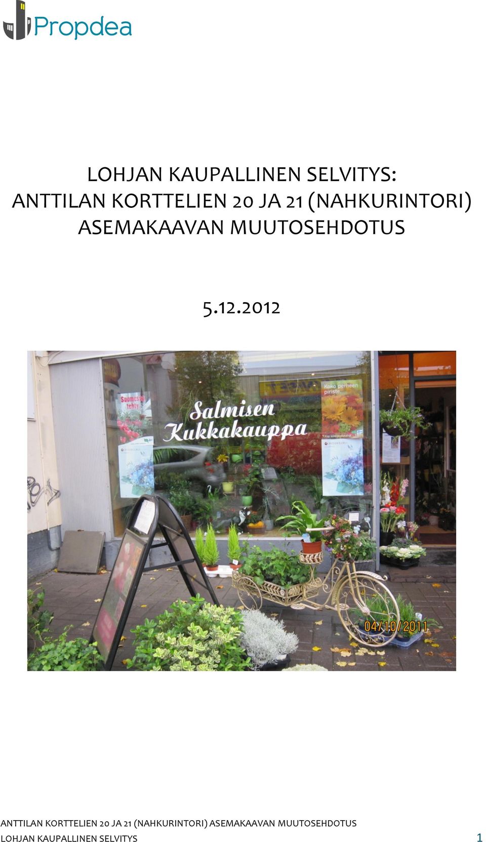 2012 ANTTILAN KORTTELIEN 20 JA 21 (NAHKURINTORI)