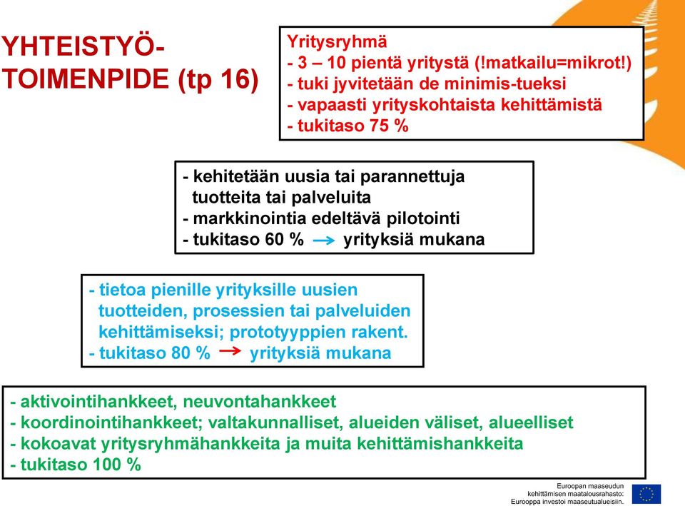 markkinointia edeltävä pilotointi - tukitaso 60 % yrityksiä mukana - tietoa pienille yrityksille uusien tuotteiden, prosessien tai palveluiden kehittämiseksi;