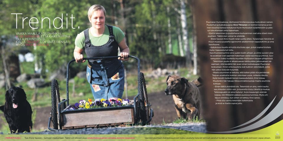 Puutarhuri ja kukkakauppias Kirsi Tikkanen on kolmen koiransa ja kolmen kissansa kanssa kotiutunut hyvin Hurissalon kyläyhteisöön ja päässyt toteuttamaan omia haaveitaan.