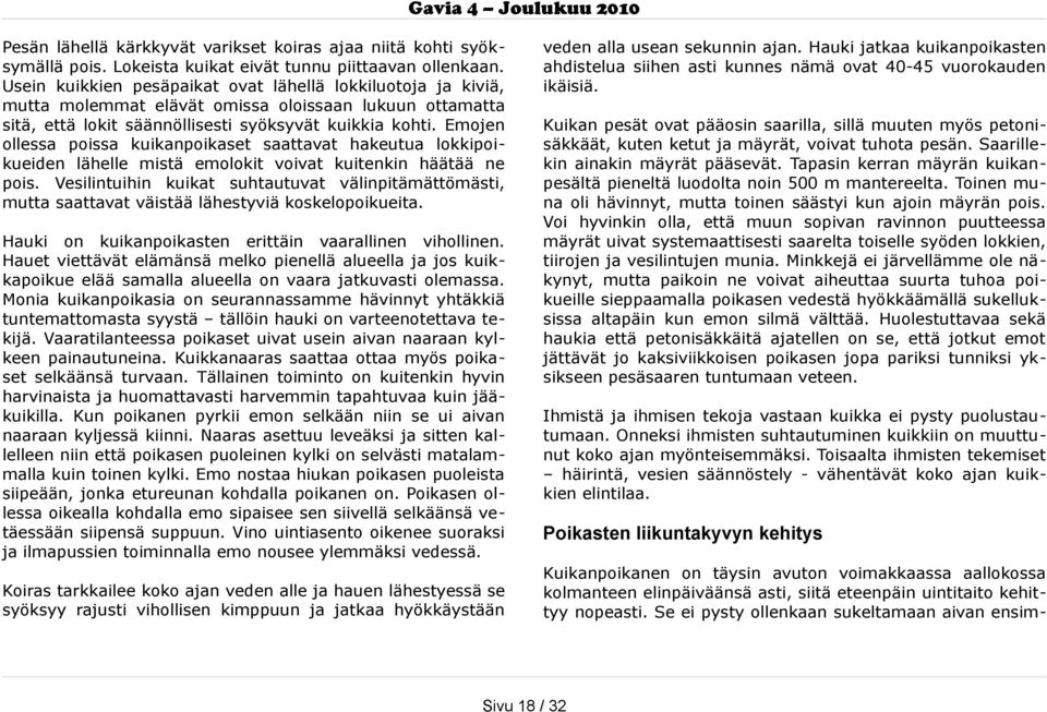 Emojen ollessa poissa kuikanpoikaset saattavat hakeutua lokkipoi kueiden lähelle mistä emolokit voivat kuitenkin häätää ne pois.