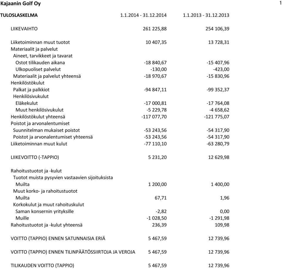 2013 LIIKEVAIHTO 261 225,88 254 106,39 Liiketoiminnan muut tuotot 10 407,35 13 728,31 Materiaalit ja palvelut Aineet, tarvikkeet ja tavarat Ostot tilikauden aikana -18 840,67-15 407,96 Ulkopuoliset