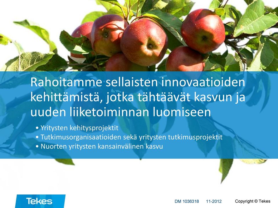 kehitysprojektit Tutkimusorganisaatioiden sekä yritysten