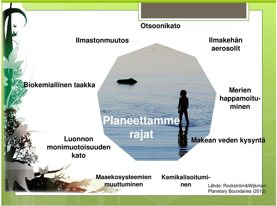 monimuotoisuuden kato Maaekosysteemien muuttuminen Makean veden